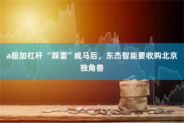 a股加杠杆 “踩雷”威马后，东杰智能要收购北京独角兽