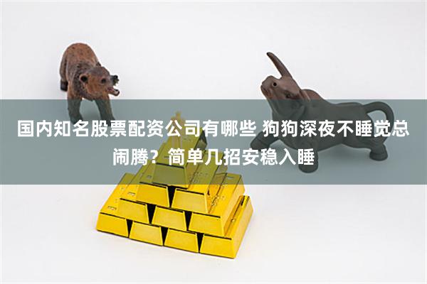 国内知名股票配资公司有哪些 狗狗深夜不睡觉总闹腾？简单几招安稳入睡